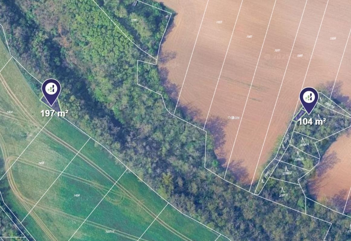 Prodej podílu 1/2 lesa 9 147 m², Ořechov - 9