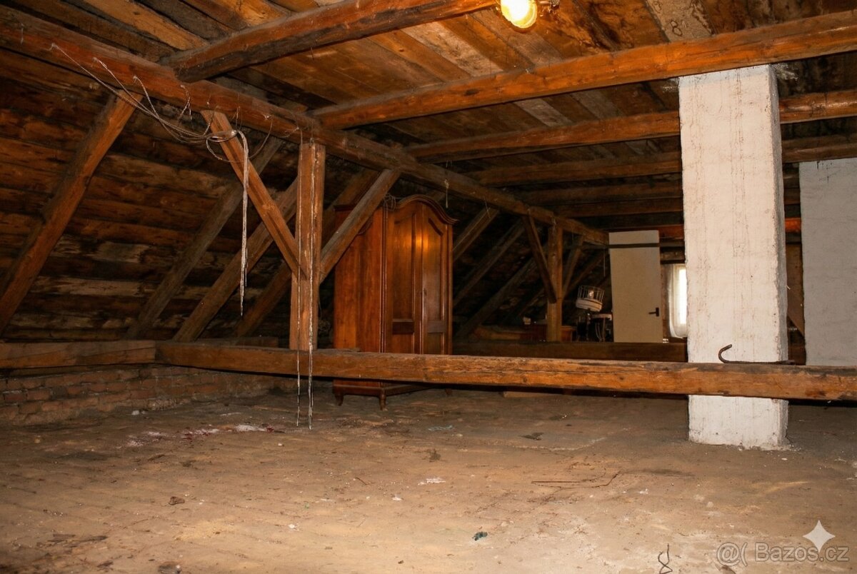 Dům 3+1, 160m2, Rýžoviště - 9
