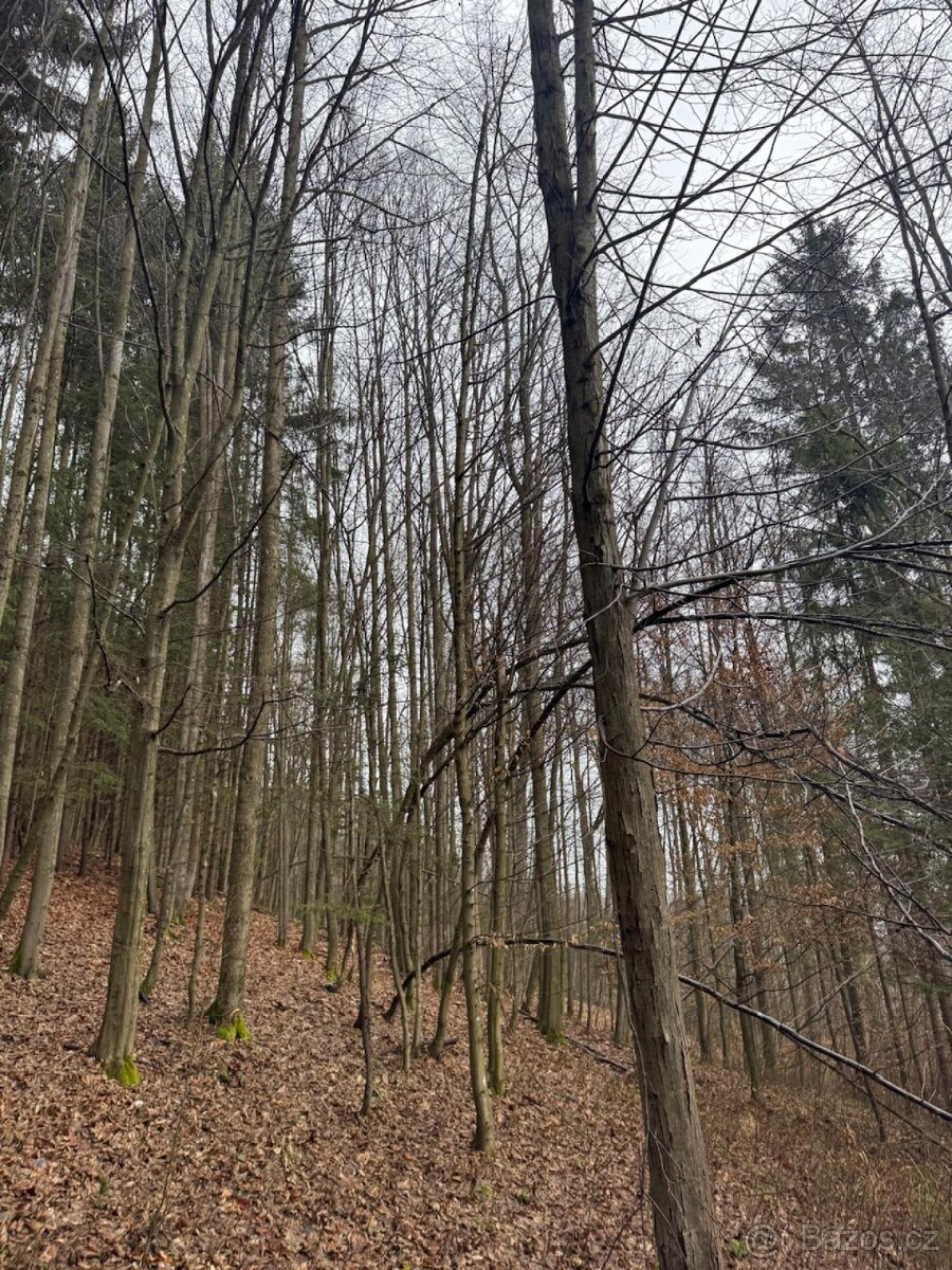 Prodej pozemků k.ú. Huslenky (2) - 9