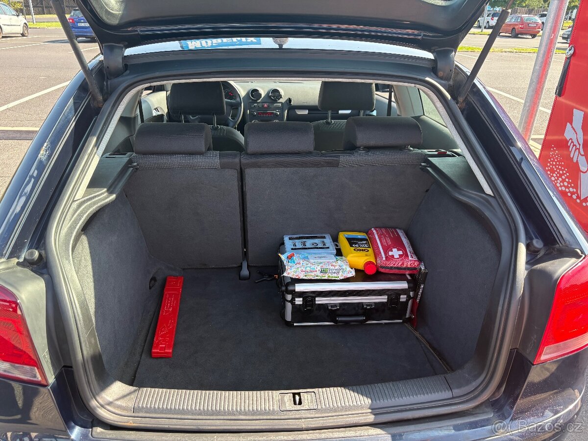 Audi A3 8p 1.9 tdi - 9