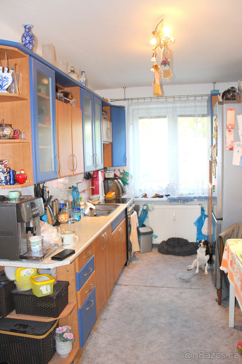 Byt 2+1 v Čelákovicích - 9