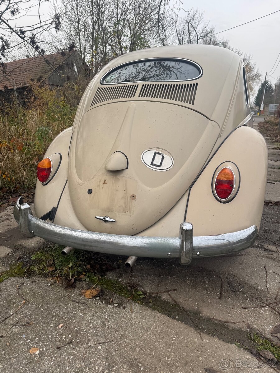 Volkswagen Brouk 1953 - 9