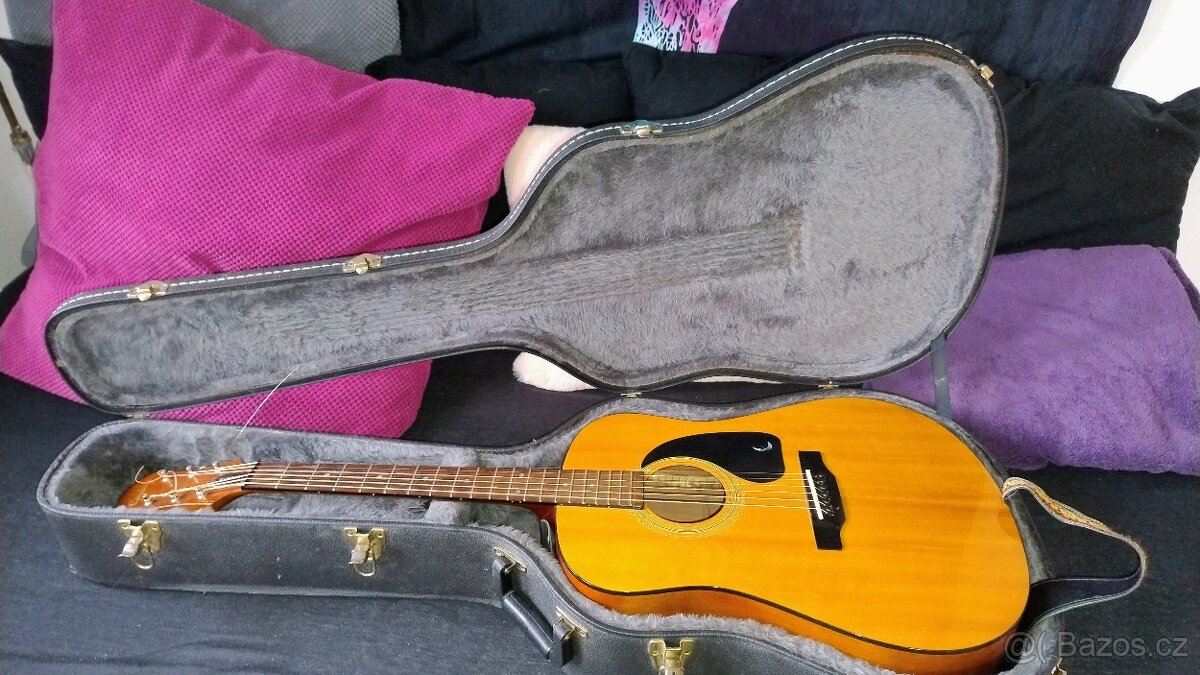 Kytara Epiphone PR200 - 9