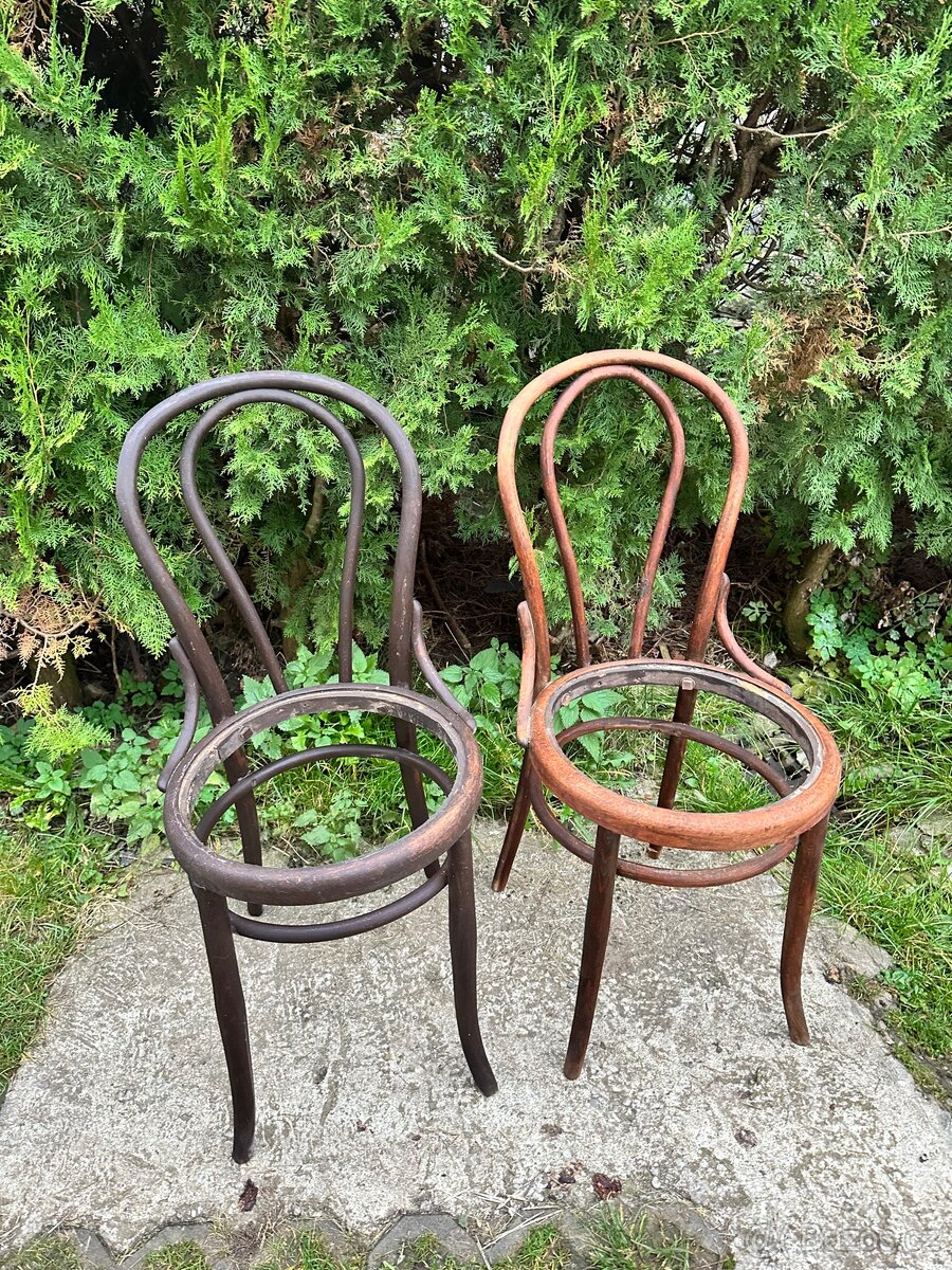 Židle z ohýbaného dřeva - Thonet (2 ks) - 9