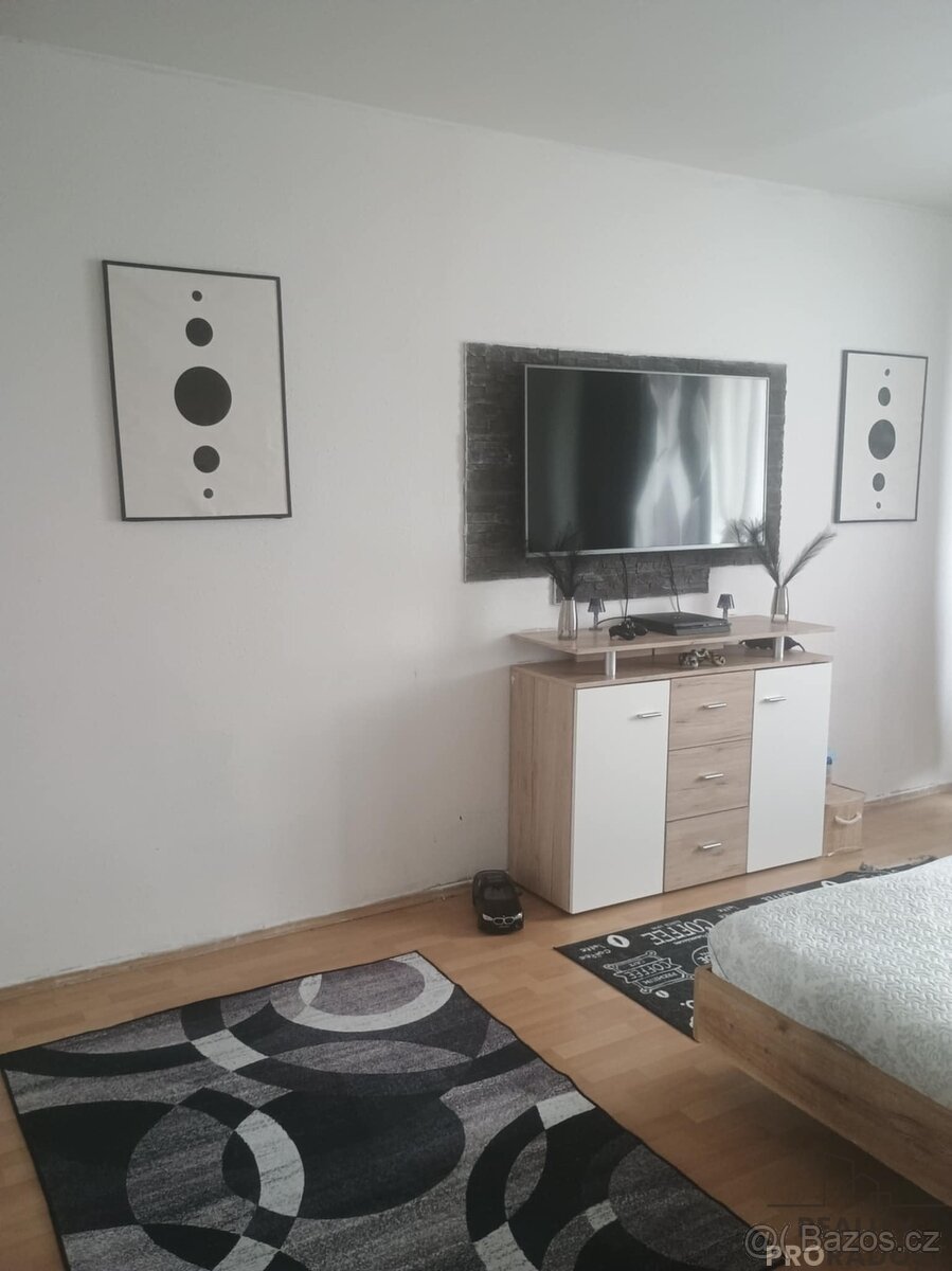 2+1 Ústí nad Labem, 2+1 sídliště Mojžíř - 9