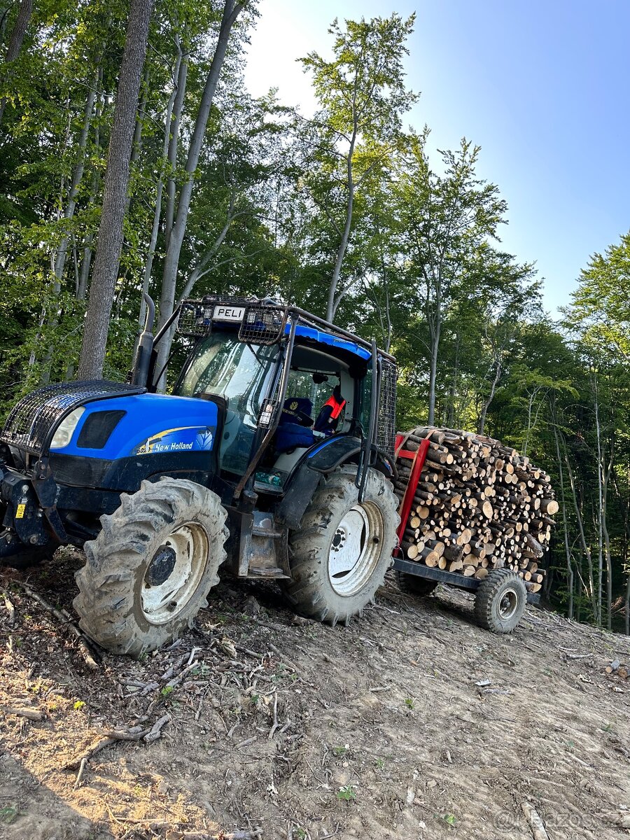 New Holland + Palms - 9