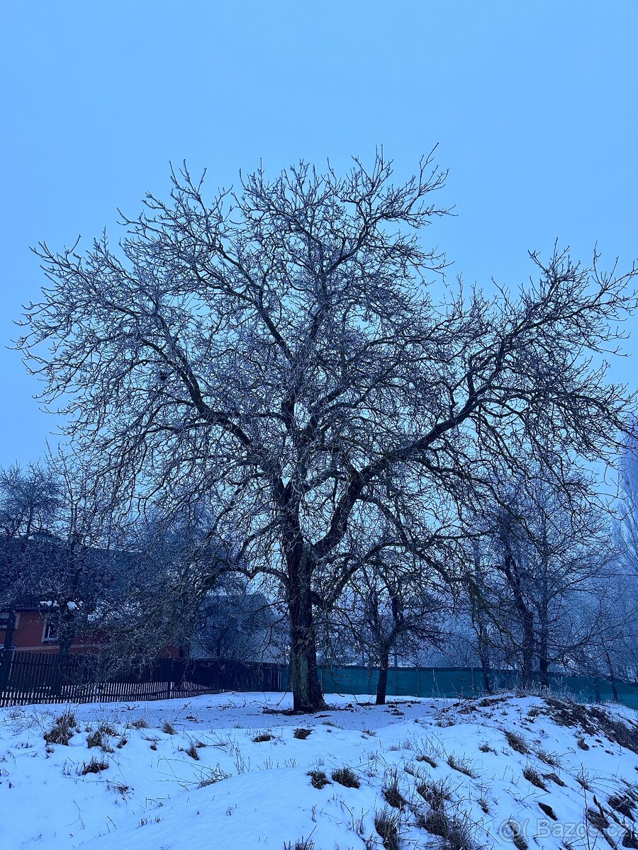 Stavební parcela 1779m2 - 9