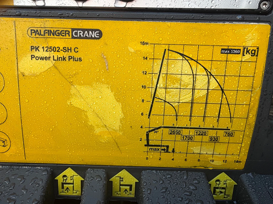 DAF LF290 - valník s hydraulickou rukou Palfinger - 9