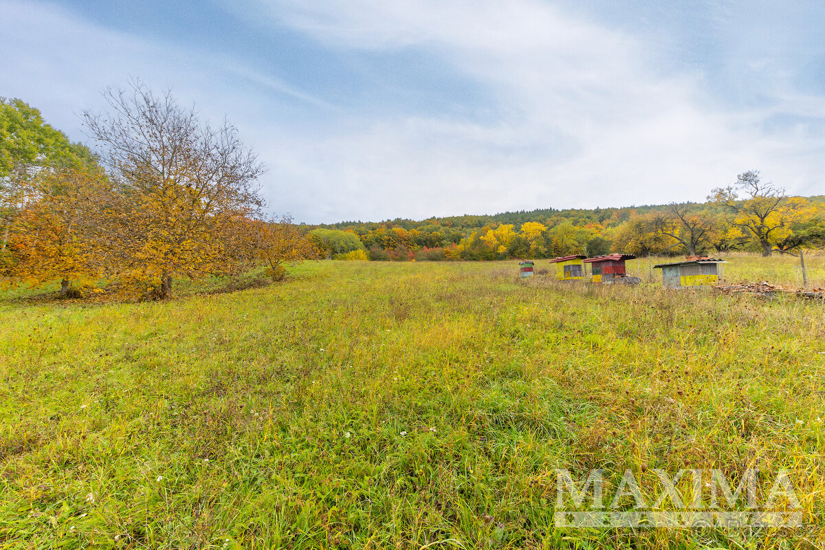 Pozemek o ploše 5229 m2 - Lažany, Lažany - 9