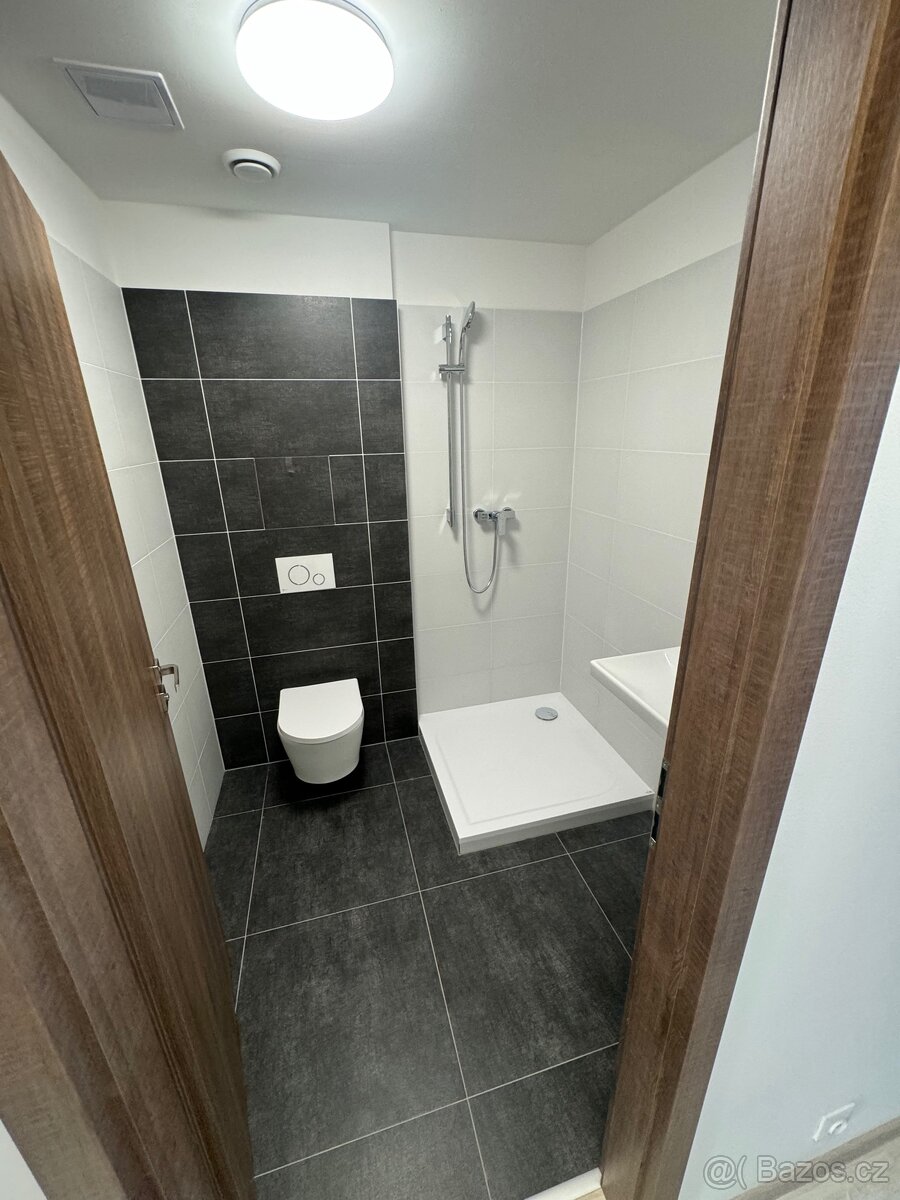 Pronájem bytu 1kk s balkonem - 9