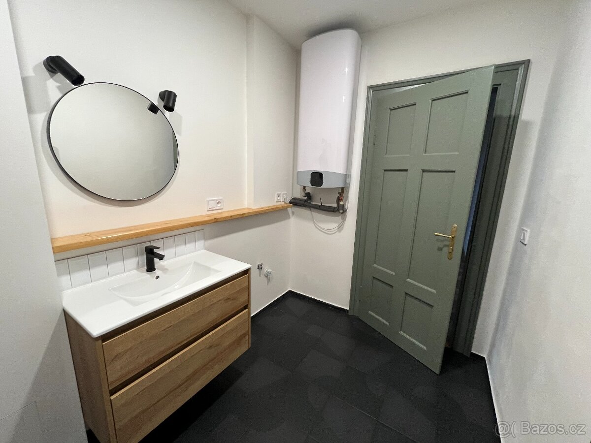 Pronájem bytu 2+1, Plzeň-Bory - 9