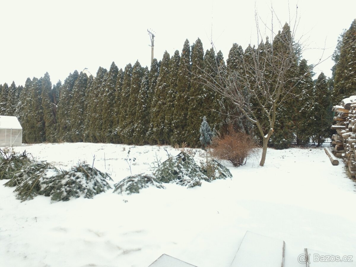 Dron Phantom 3 Professional - 9