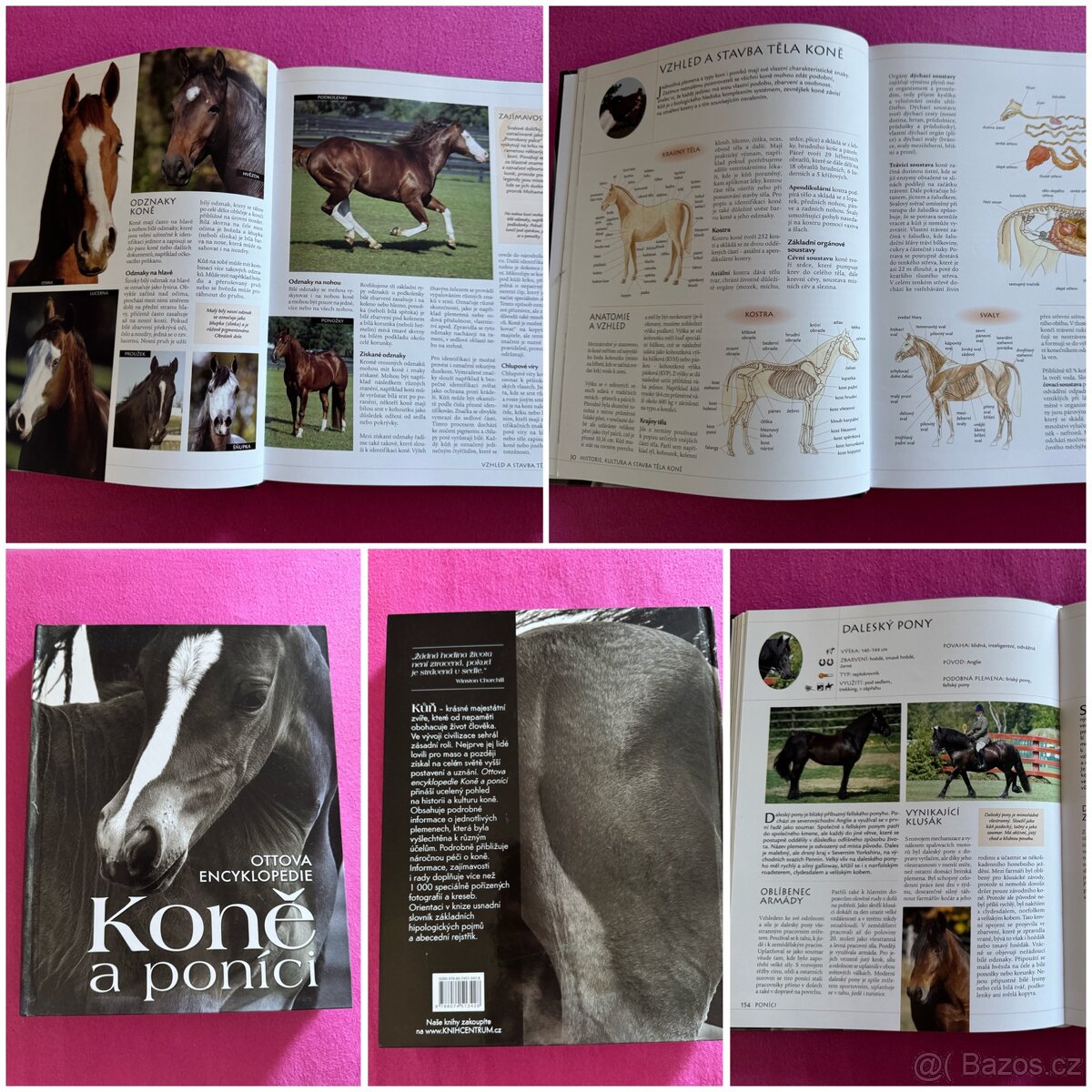 Koňské knihy - 9