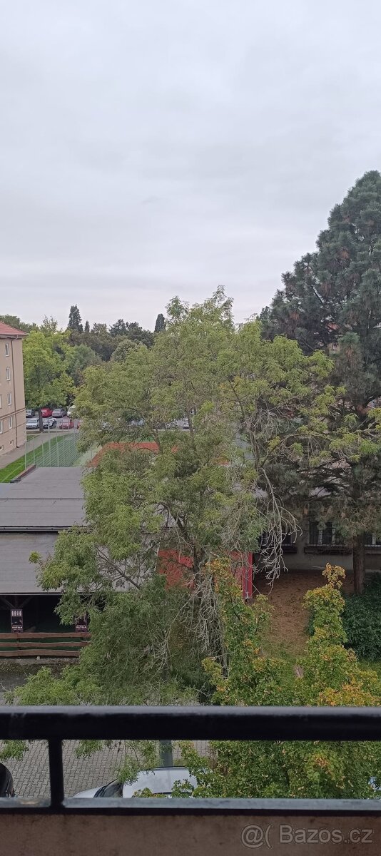 Byt 3+1 cihla Plzeň Bory Máchova ulice - 9
