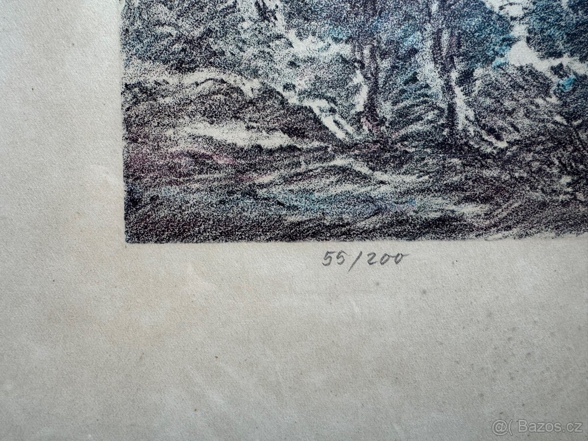 obraz Josef Godža 55/200 - 9