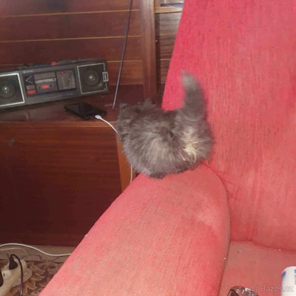 Ponukam maciatko - 9