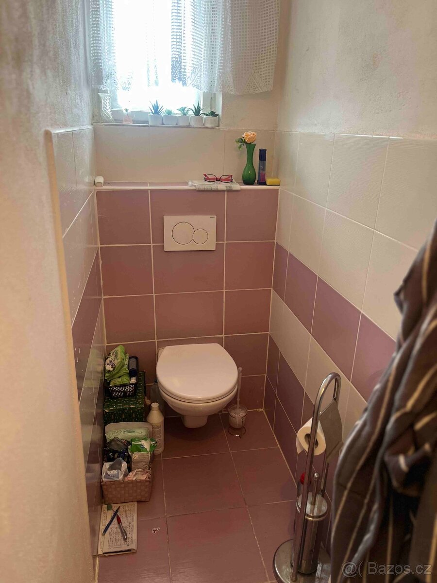 Prodej RD Moravský písek - 9