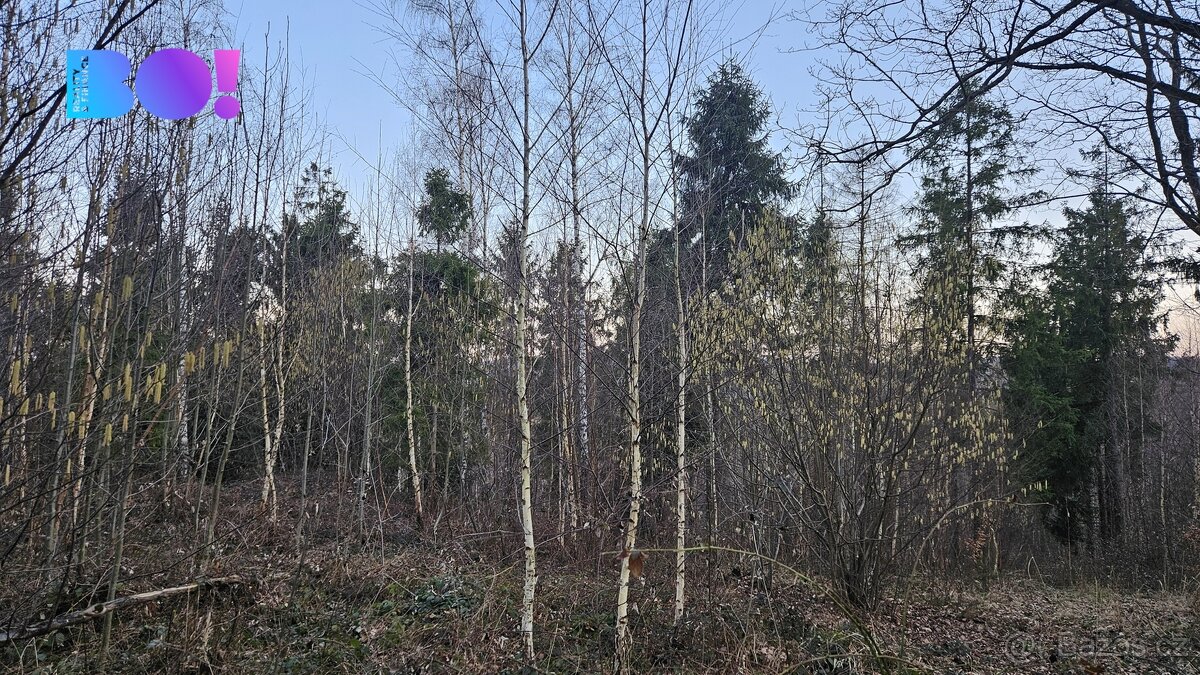 Prodej lesů, 55 558 m², Rybí - 9