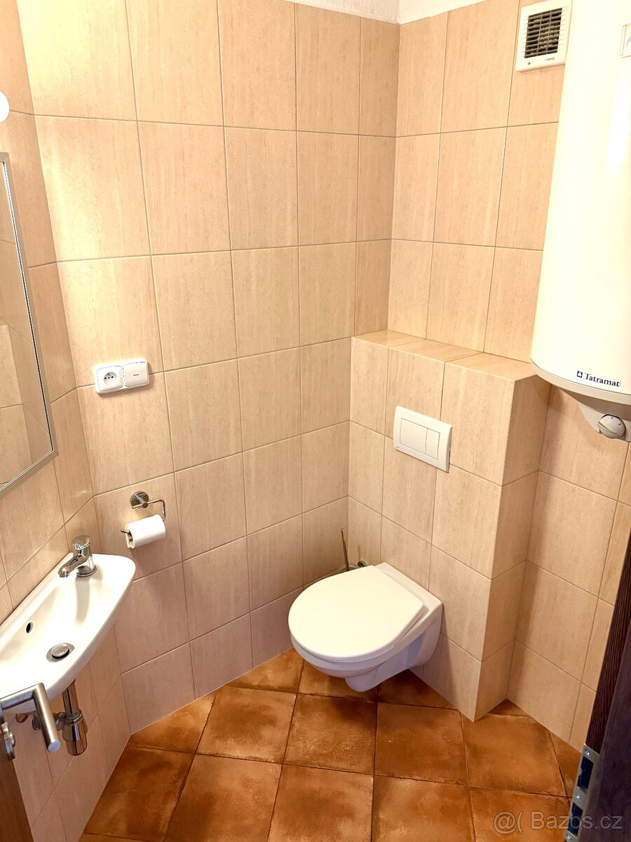 Pronájem 4kk, 1.patro, terasa, parkovací místo - 9