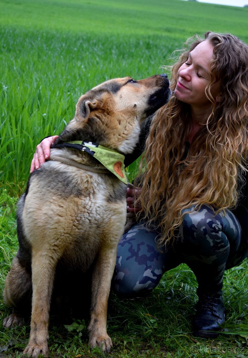 HAKIM K ADOPCI - 3 ROKY, KRÁSNÝ,PŘÁTELSKÝ,HRAVÝ - 9