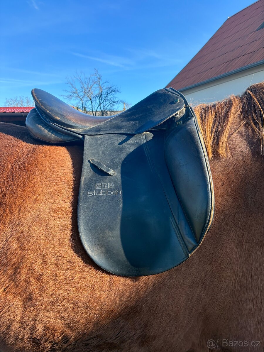 Drezurni sedlo - 9