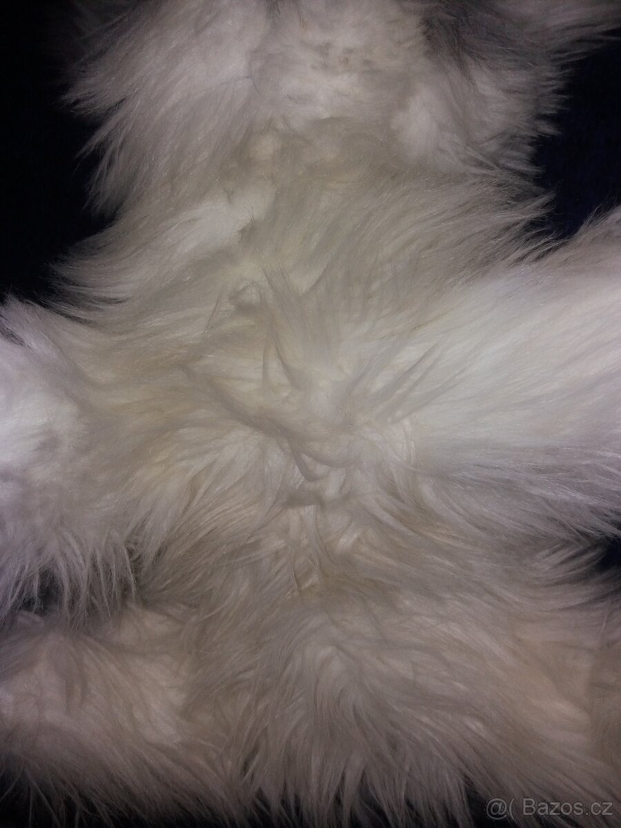 Velký plyšový pejsek - 50 cm - 9