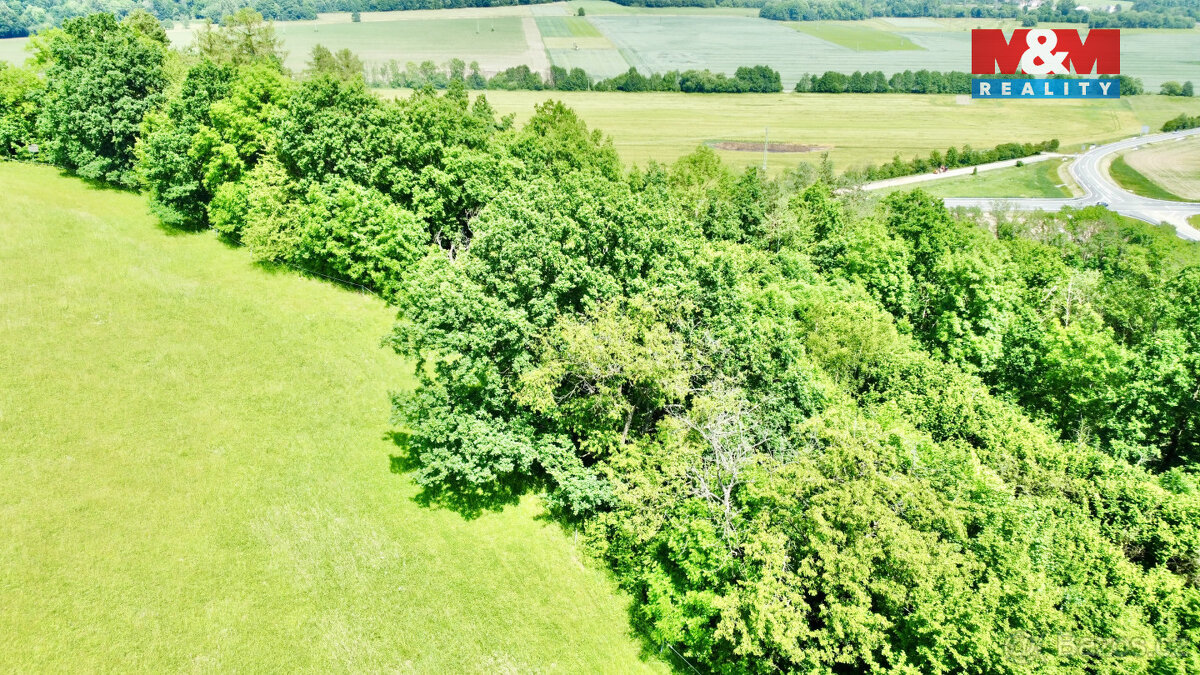 Prodej lesa, 12990 m², Vyšehoří - 9