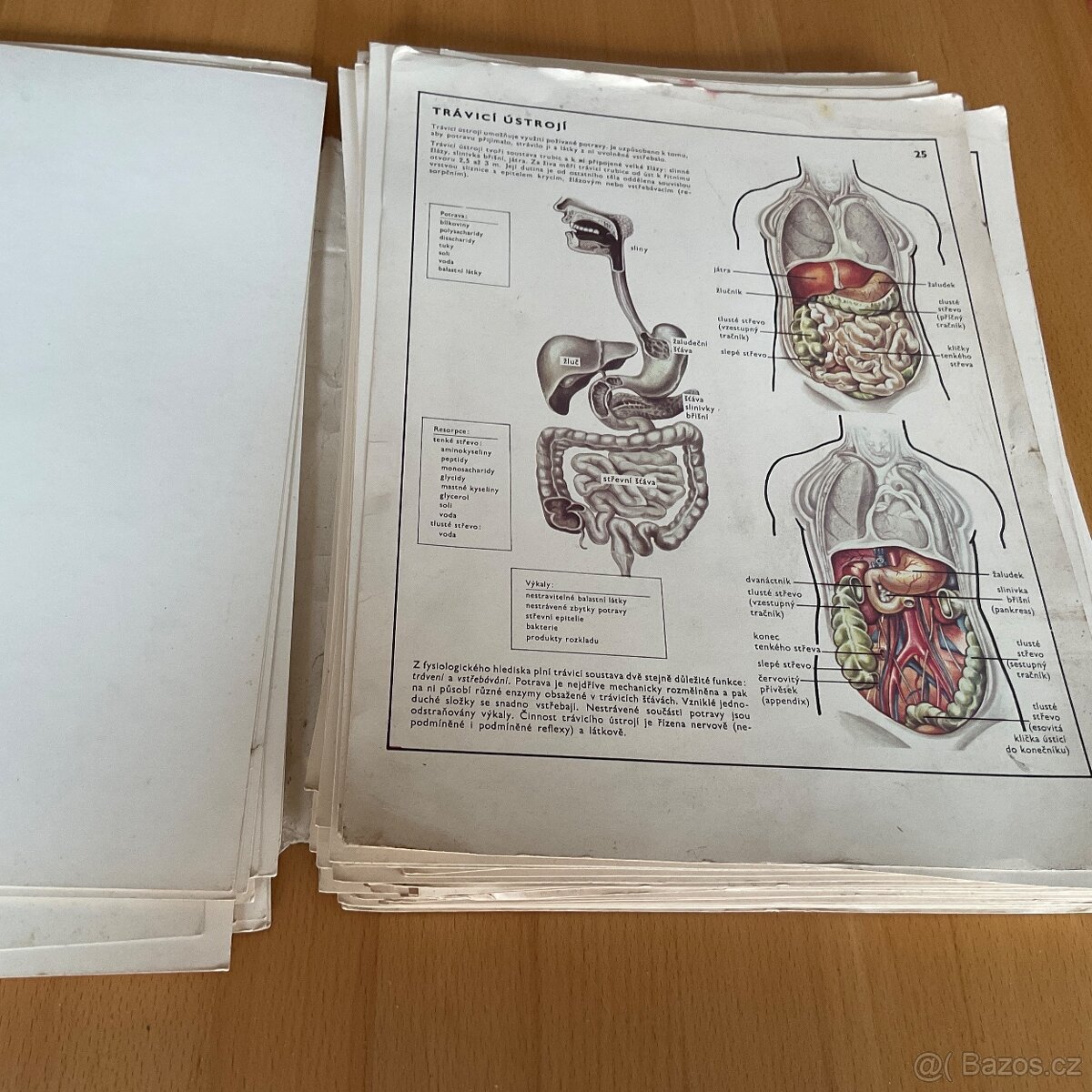 Retro- Biologie člověka v obrazech- A4 - 9
