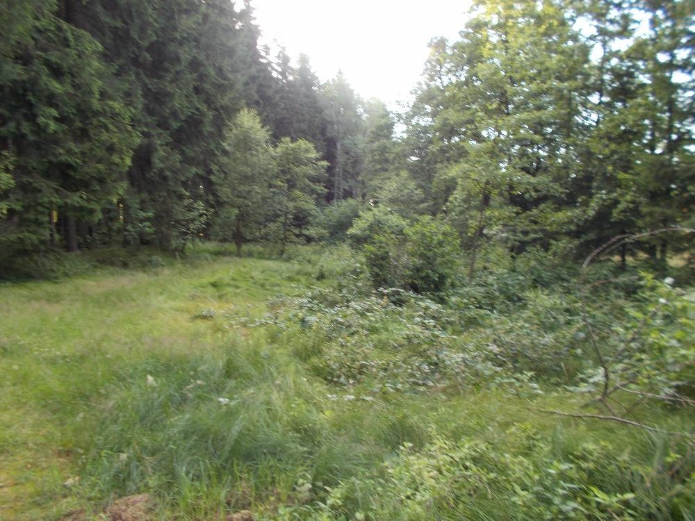 Prodej louky 3266 m² - 9