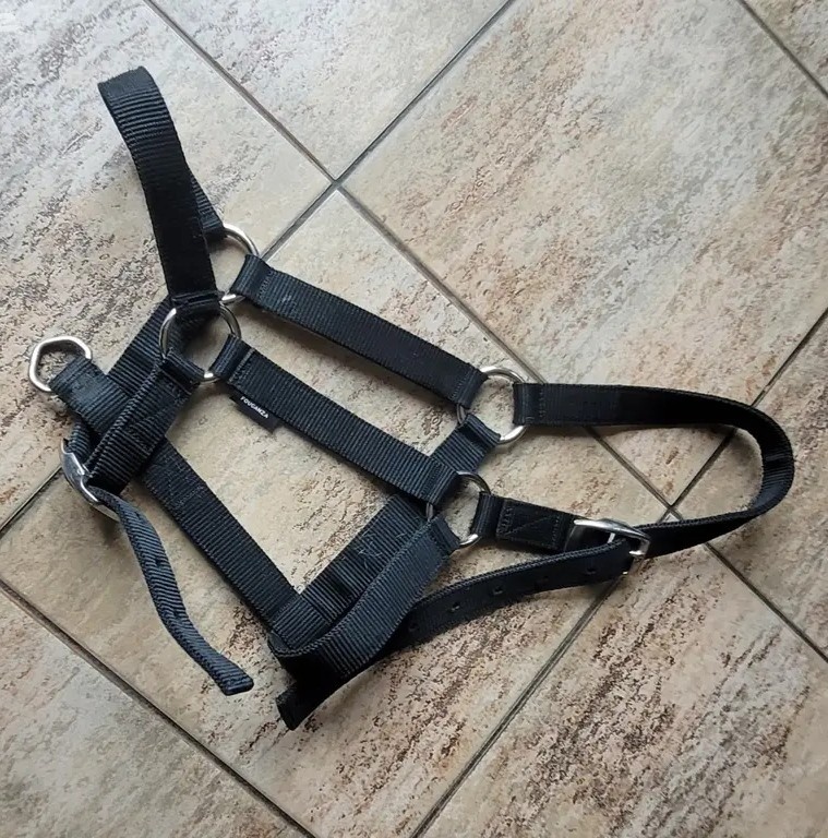 Výprodej sedlovna + věci pro jezdce - 9