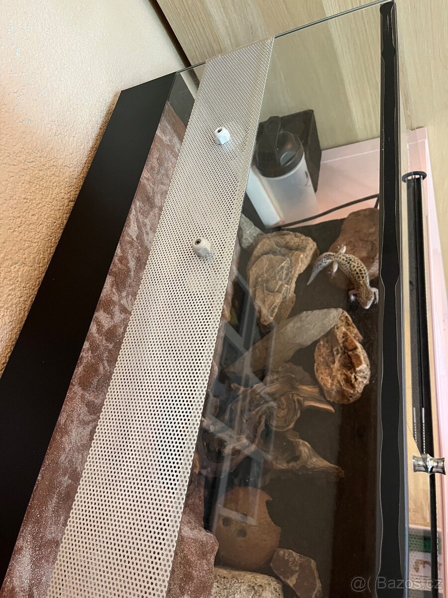 Terarium s gekoncikem - 9