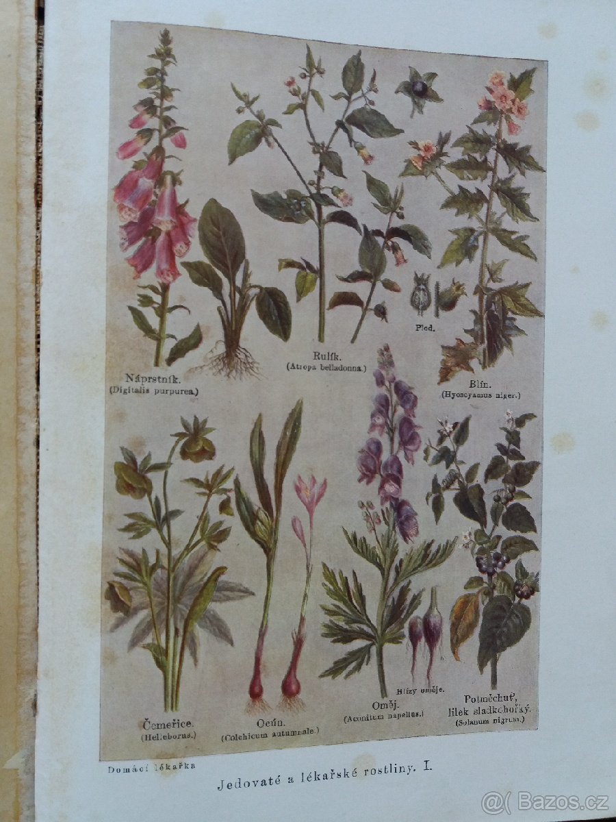 Kniha : Domácí lékařka. - 9