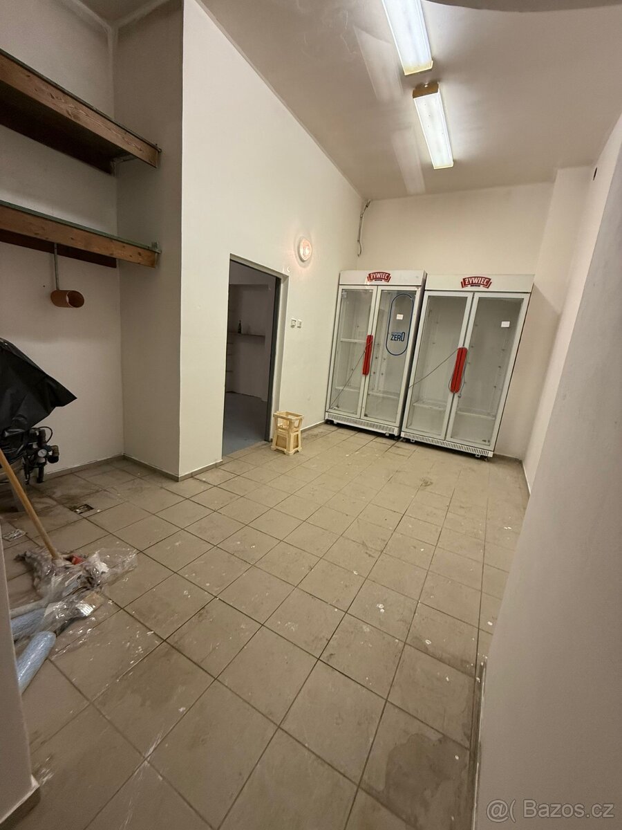 Bzenec-prostory k pronájmu - 9