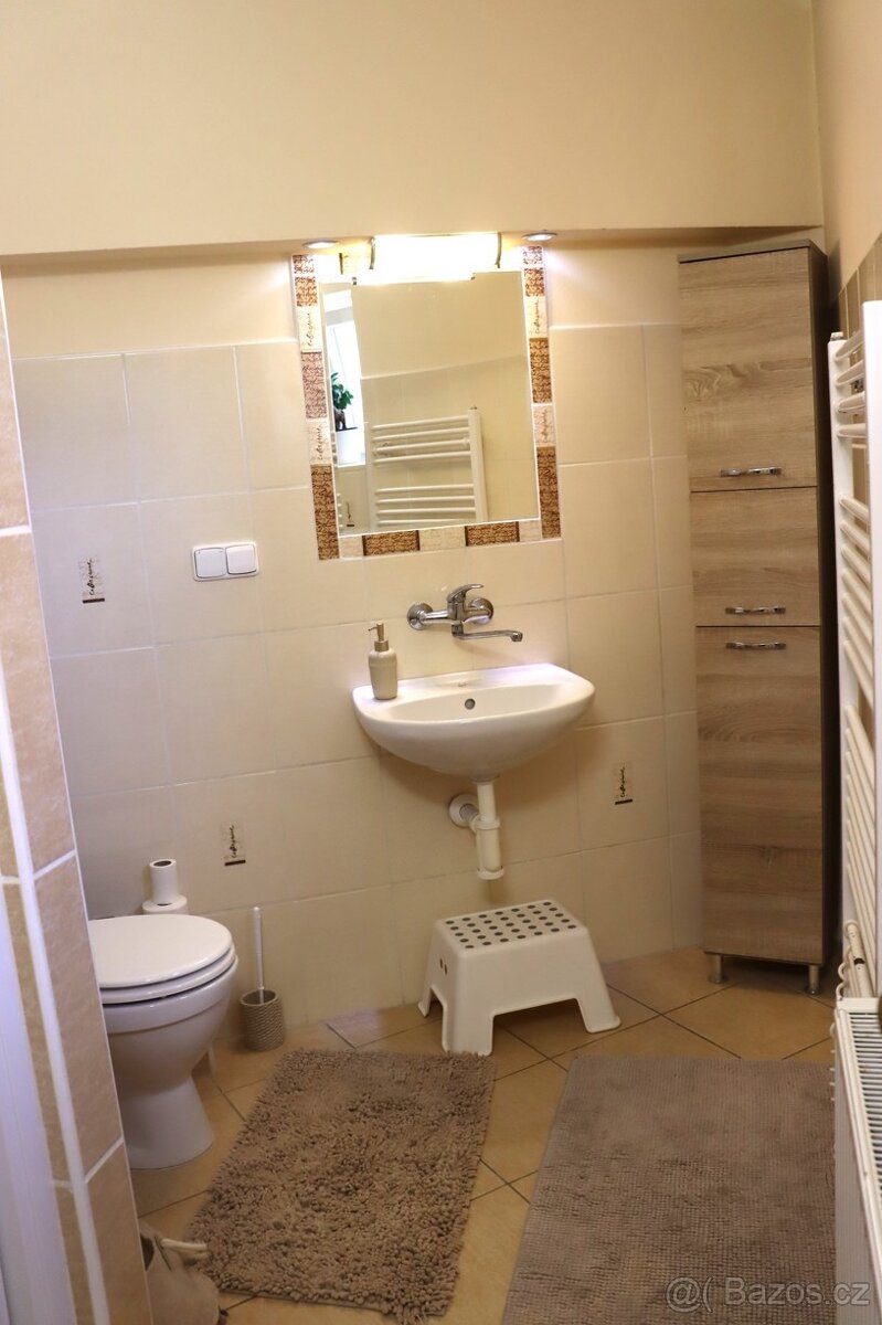 RD 4+1 Prušánky se zahradou,838m2. - 9