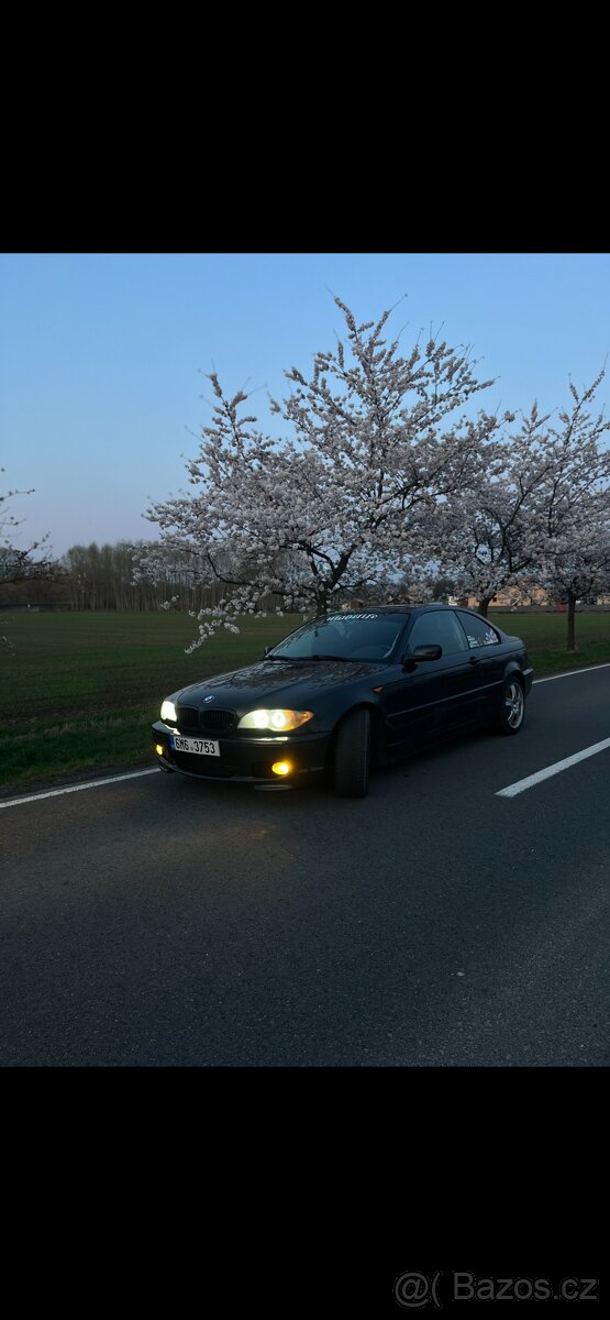 BMW e46 320ci - 9