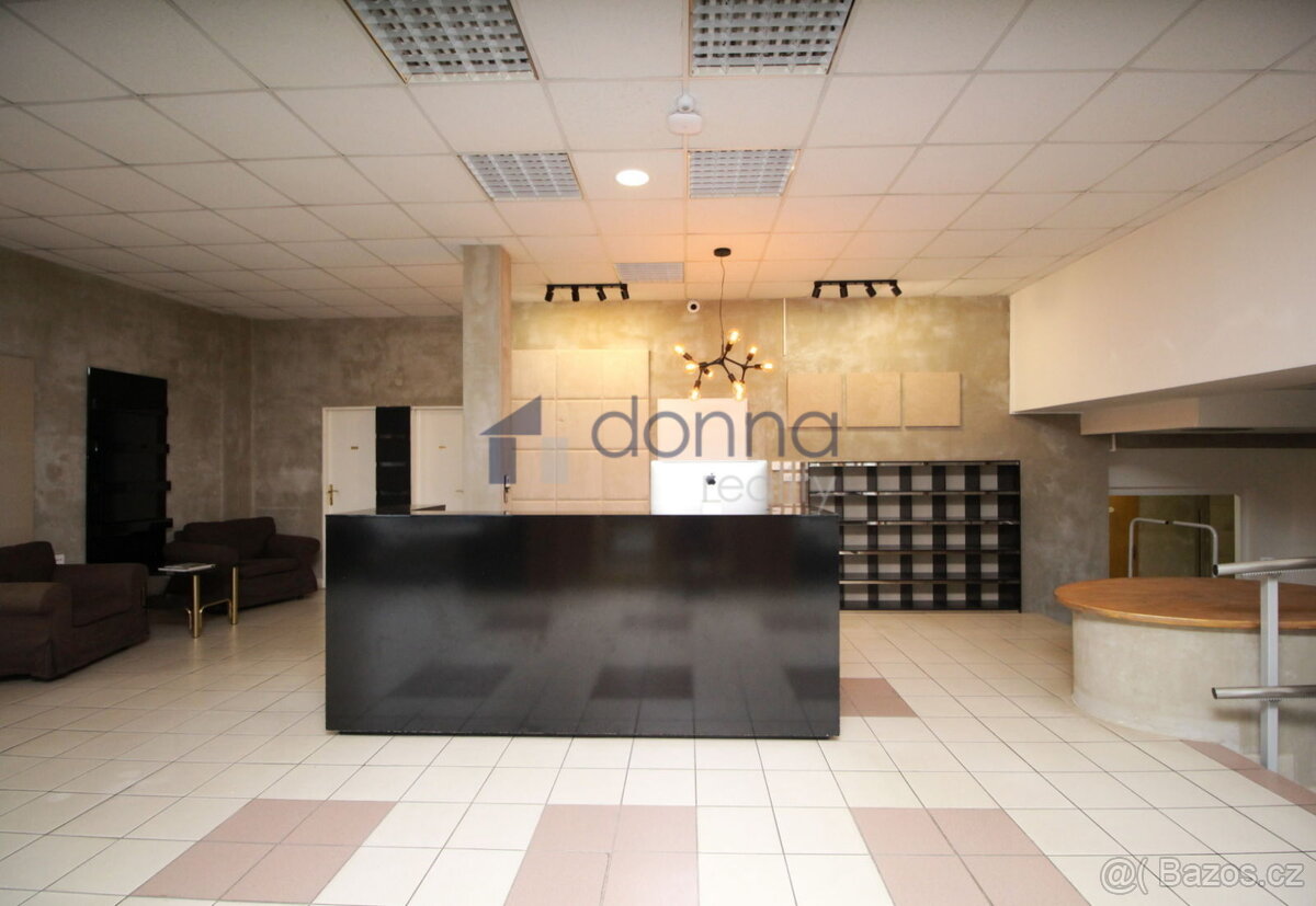 Pronájem kanceláře - školícího centra, rehabilitace a podobn - 9