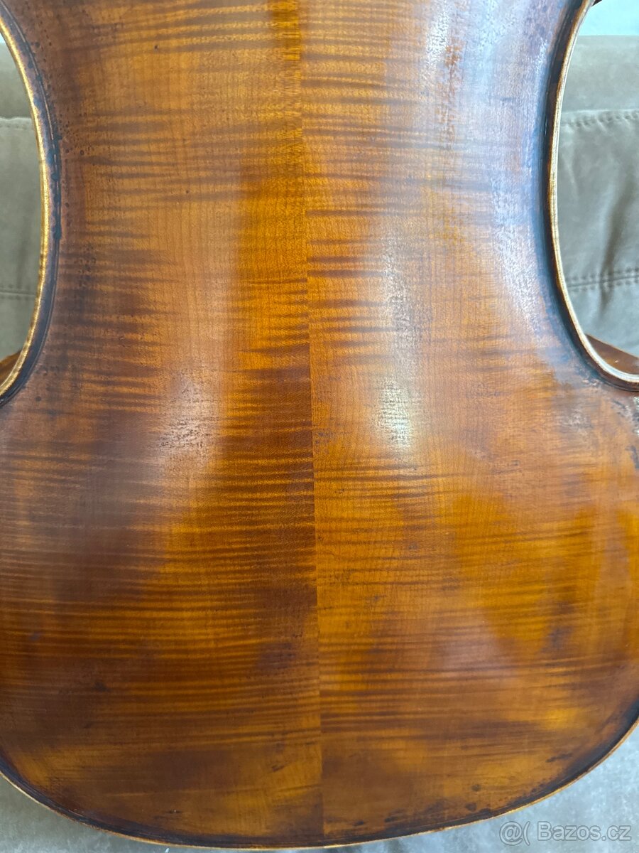 Krásné Violoncello - 9