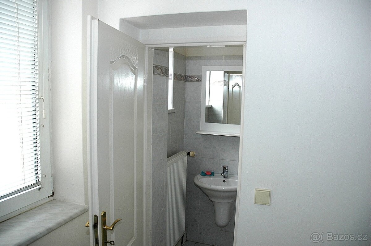 Pronájem nebytových/komerčních/kancelářských prostor - 9
