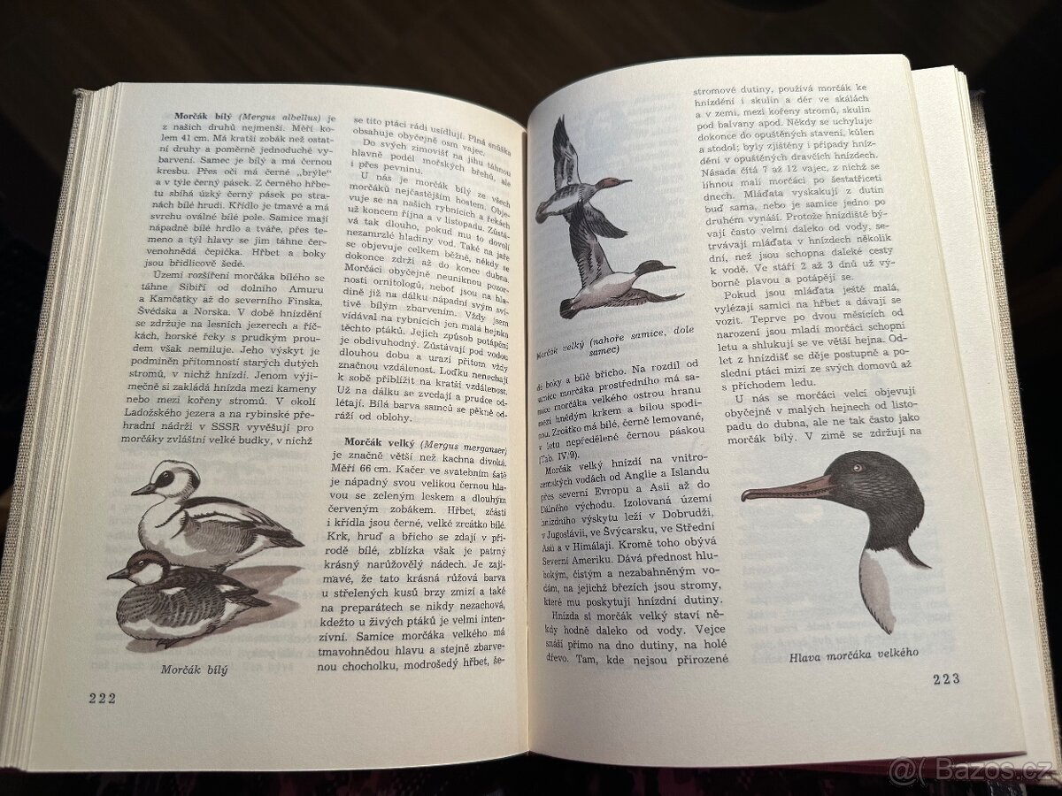 Světem zvířat - 9