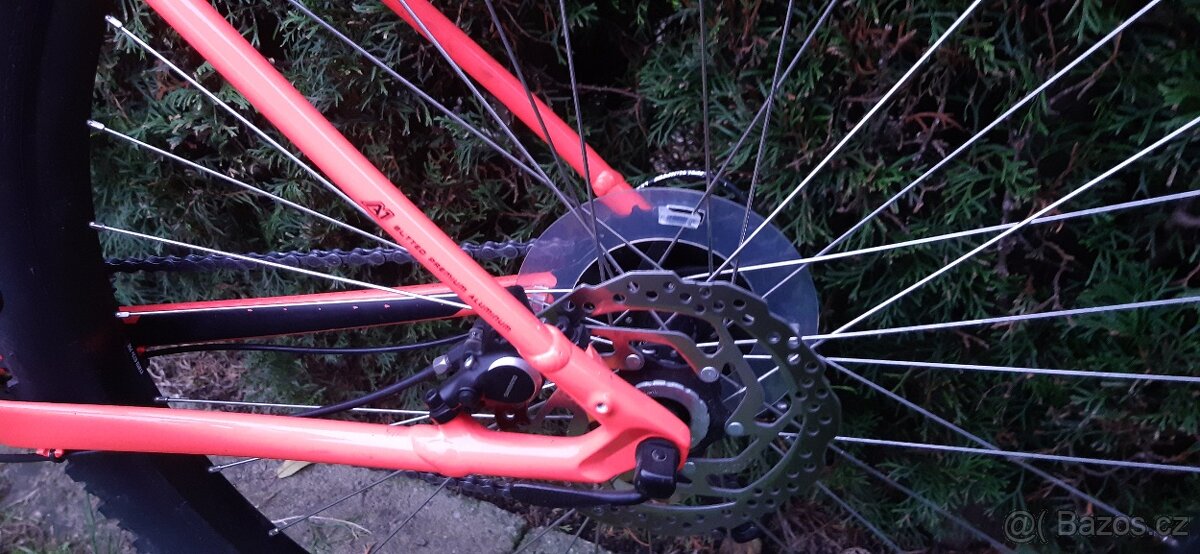 Specialized Rockhopper - 9