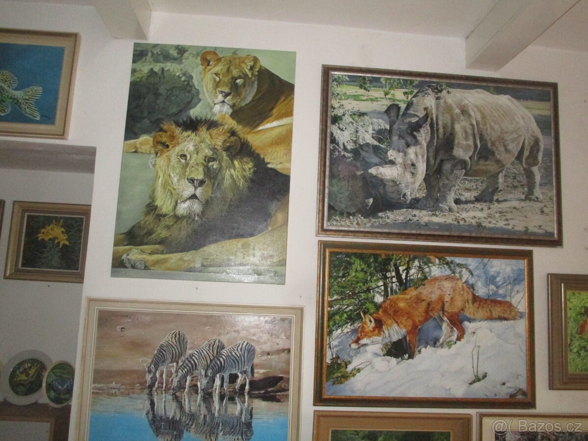 OBRAZY-VÁNOČNÍ DÁREK - 9