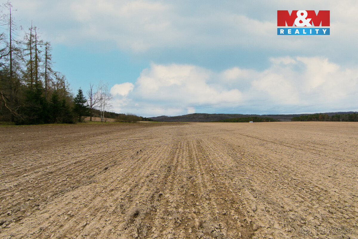 Prodej pole, 5839 m², Předenice - 9