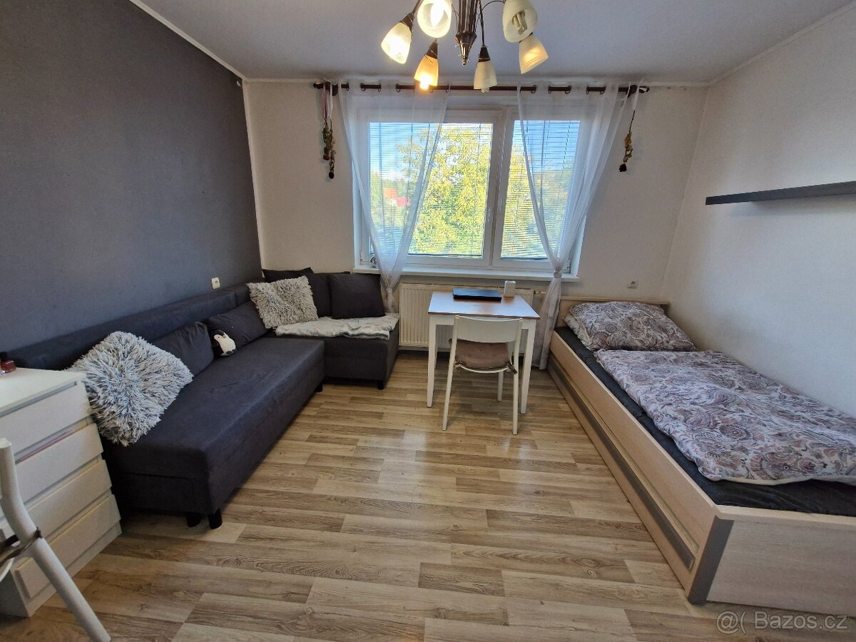 Prodej - rodinný dům - Starý Jičín, Dub - 9