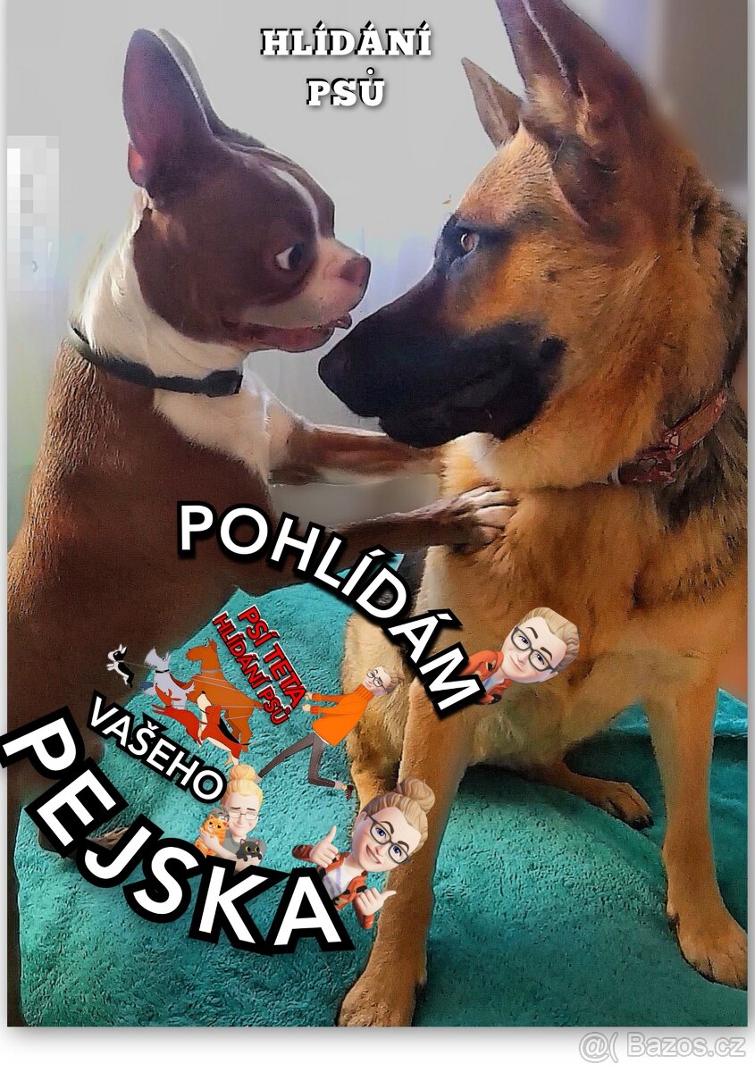 Pohlidám vašeho pejska. Plzeň - 9