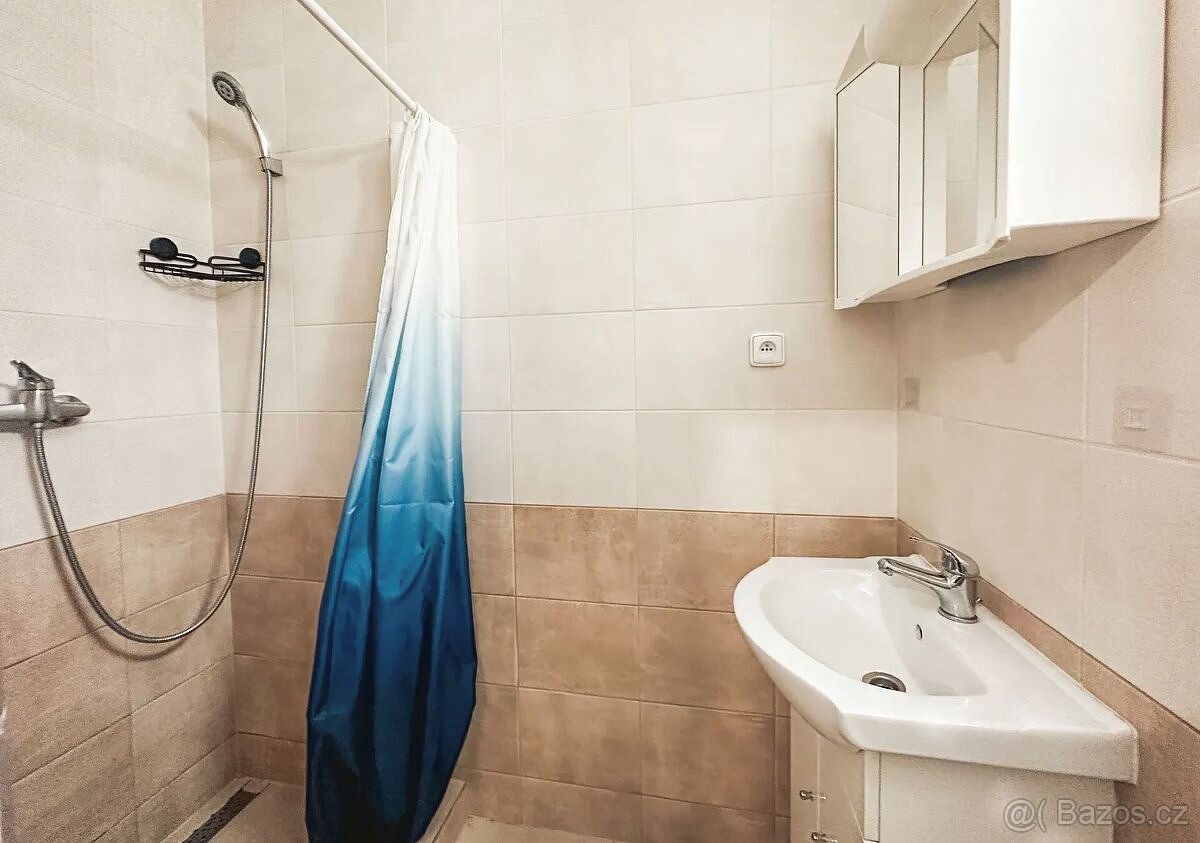 Pronájem 1+1 - 9