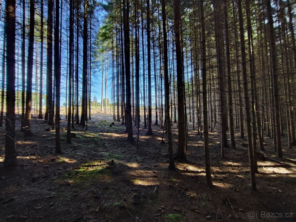 Prodej lesa 233 155 m² Žďár u Nové Včelnice - 9