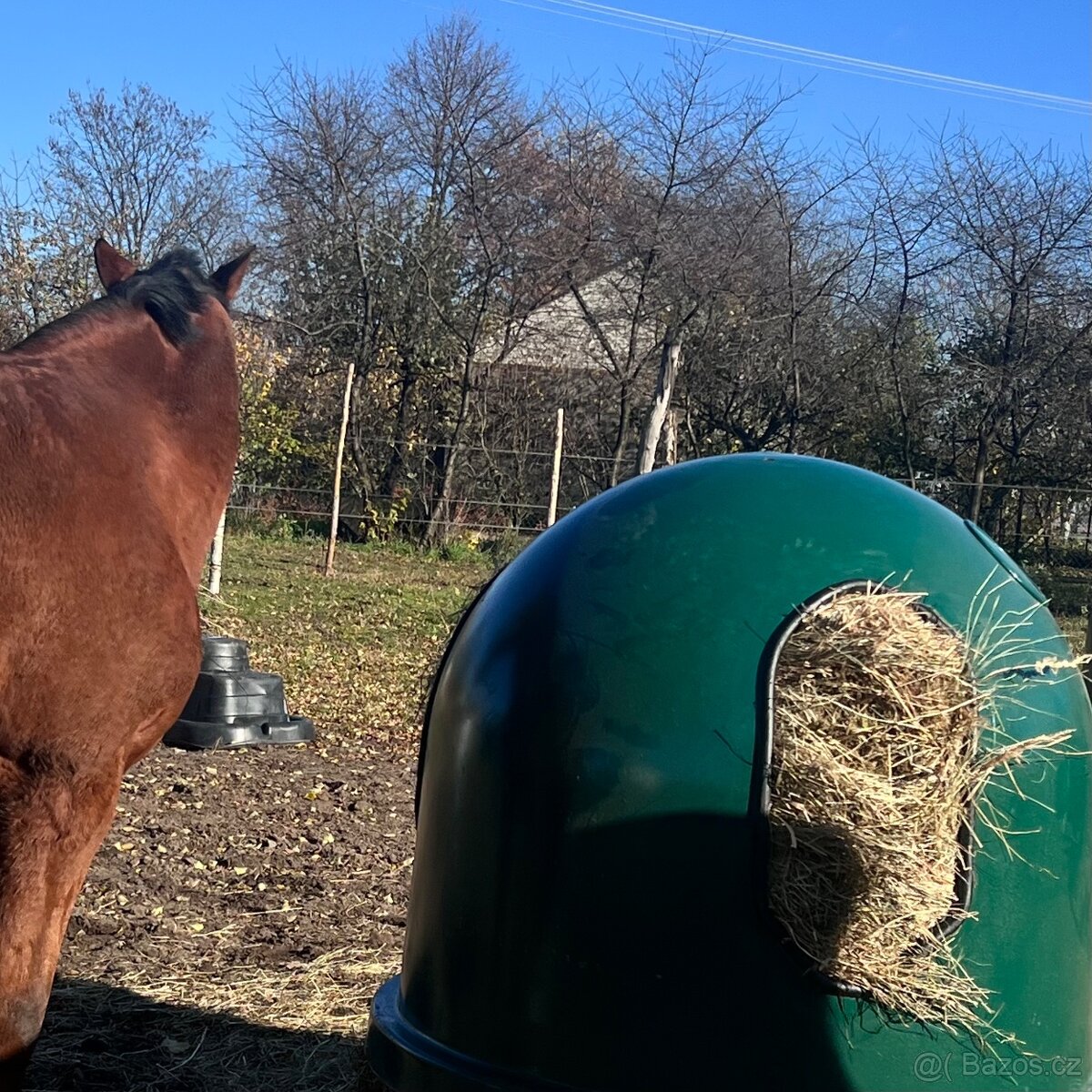 Krmný zvon pašík pro koně – nový, univerzální, regulovatel - 9