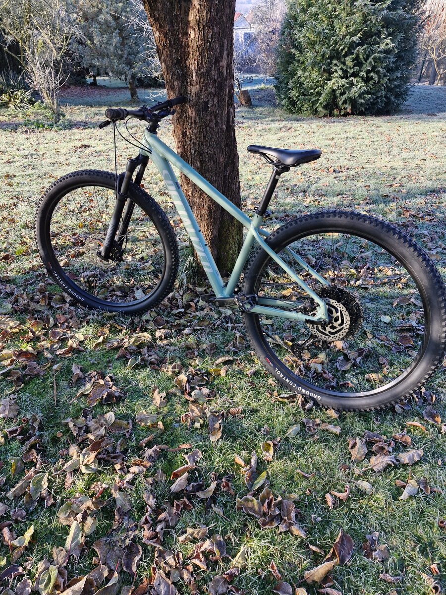 Specialized rockhopper comp 2025 - 9