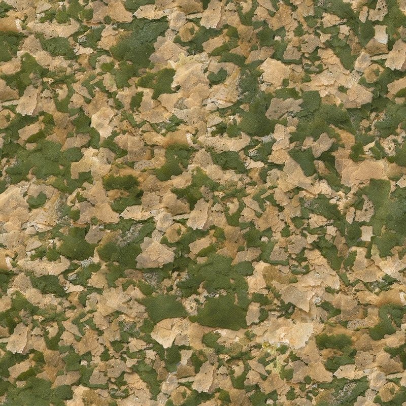 Krmivo pro akvarijní rybky - 9