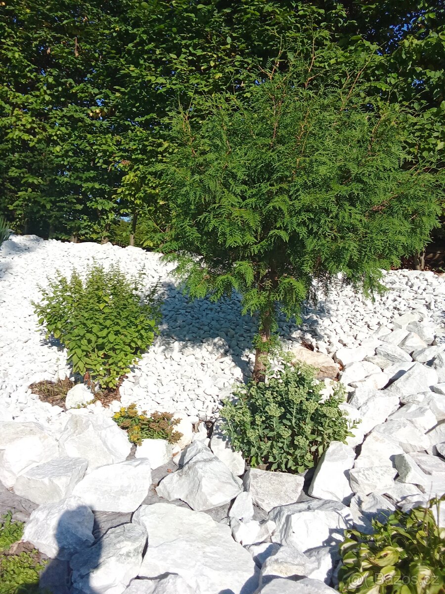 práce brigáda dřevo - 9